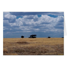 The Serengeti Plain Greeting Card