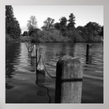 The Serpentine II Print
