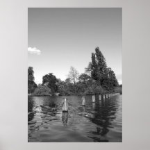 The Serpentine III Posters