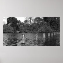 The Serpentine IV Print