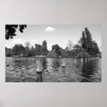 The Serpentine Poster