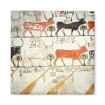 The seven celestial cows and the sacred bull magnets