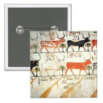 The seven celestial cows and the sacred bull buttons