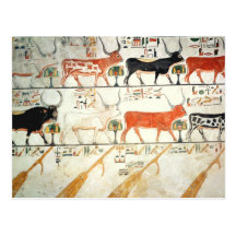 The seven celestial cows and the sacred bull postcards
