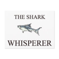 The Shark Whisperer Postcards