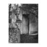 The shed in the cemetery in black and white postcards