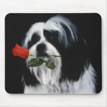The Shih Tzu Dog mousepads
