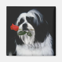 The Shih Tzu Dog Refrigerator Magnet