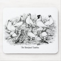 The Short-faced Tumblers Mousepads