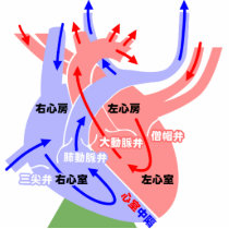 The simple heart Japanese Photo Cutout