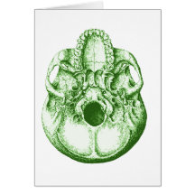 The Skull Card