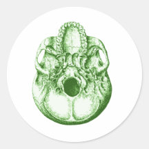 The Skull Sticker