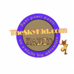 The SkyKid.Com Radio Photo Sculptures