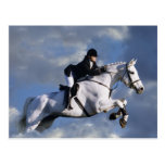 The Sky's The Limit Postcard