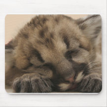 The Sleeping Cougar Mouse Pads
