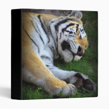The Sleeping Tiger Vinyl Binders