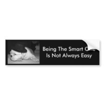 "The Smart One"...English Bulldog Puppy Bumper Sticker