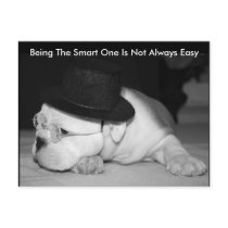 "The Smart One"...English Bulldog Puppy Postcard