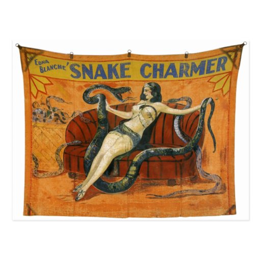 The Snake Charmer Post Cards