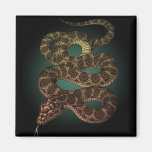 The Snake（G) 冷蔵庫用マグネット