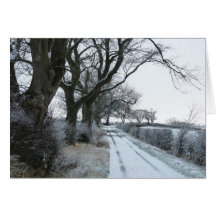 "The Snowy Lane" Northumberland England Greeting Cards
