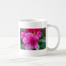 The solitary pink flower mugs
