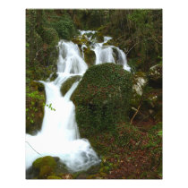 The Song of Nature Photo Print