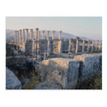The South Decumanus, Jerash, Jordan Postcard