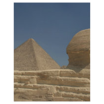 The Sphinx Flyer Design
