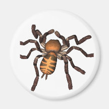 The Spider Refrigerator Magnet