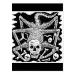 The Spider Skeleton Post Card