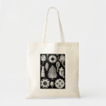 The Sponge of the Sea - Naturalist Image 1904 Tote Bag