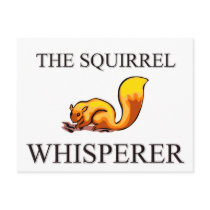 The Squirrel Whisperer Postcard