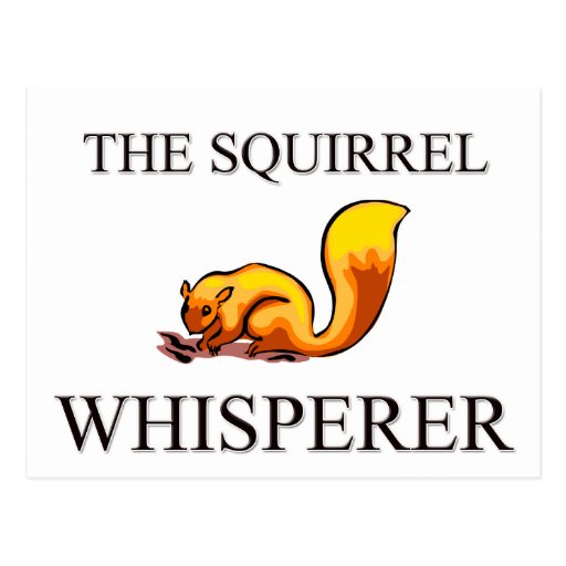 The Squirrel Whisperer Postcard