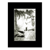 THE SQUIRRELS CHASED THE CROWS POSTCARDS