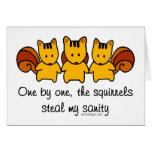 The squirrels steal my sanity cards