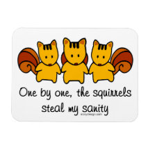 The squirrels steal my sanity flexible magnets