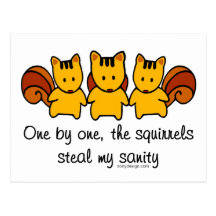 The squirrels steal my sanity post card