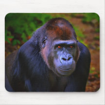 the stare copy mouse pads