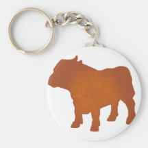The Stare Key Chains