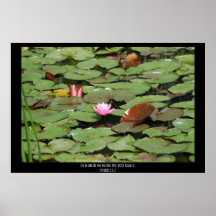 The Still Waters Scripture Print