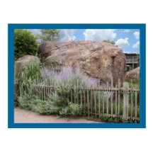 The Stone Postcard