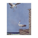 The Storks Postcards