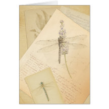 The Study of Dragonflies greeting card