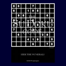 The Su Doku Code posters