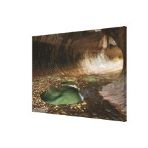 The Subway is a geologic formation of sandstone ca Stretched Canvas Print