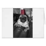 The Sultan of Sofa Greeting Cards