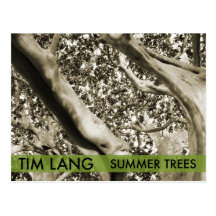 The Summer Trees Postcard