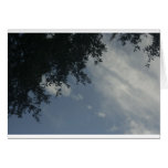 The Sun brille Carte