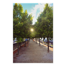 The sun is shining art photo